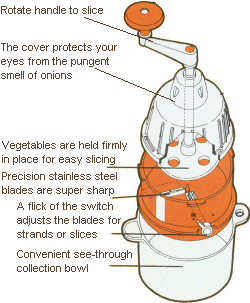 saladacco.gif (21188 bytes)